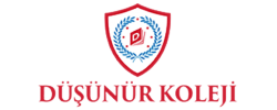 DÜŞÜNÜR KOLEJİ